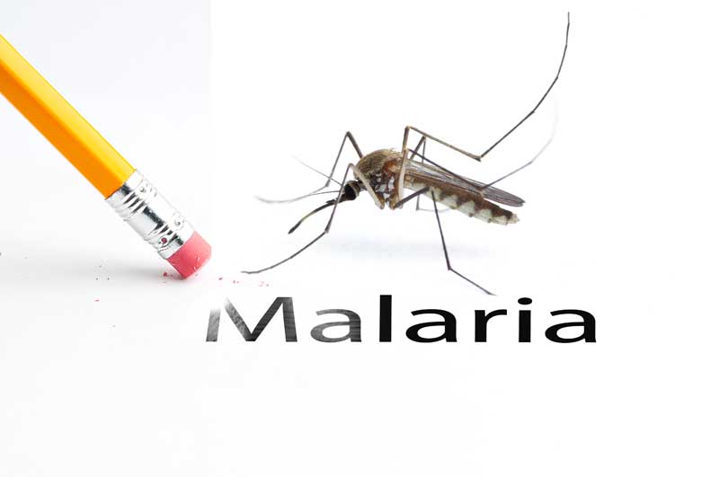 Una tappa storica per la medicina: pronto un vaccino per la malaria